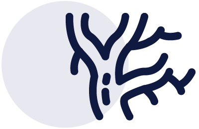 Esperta Health - Veins